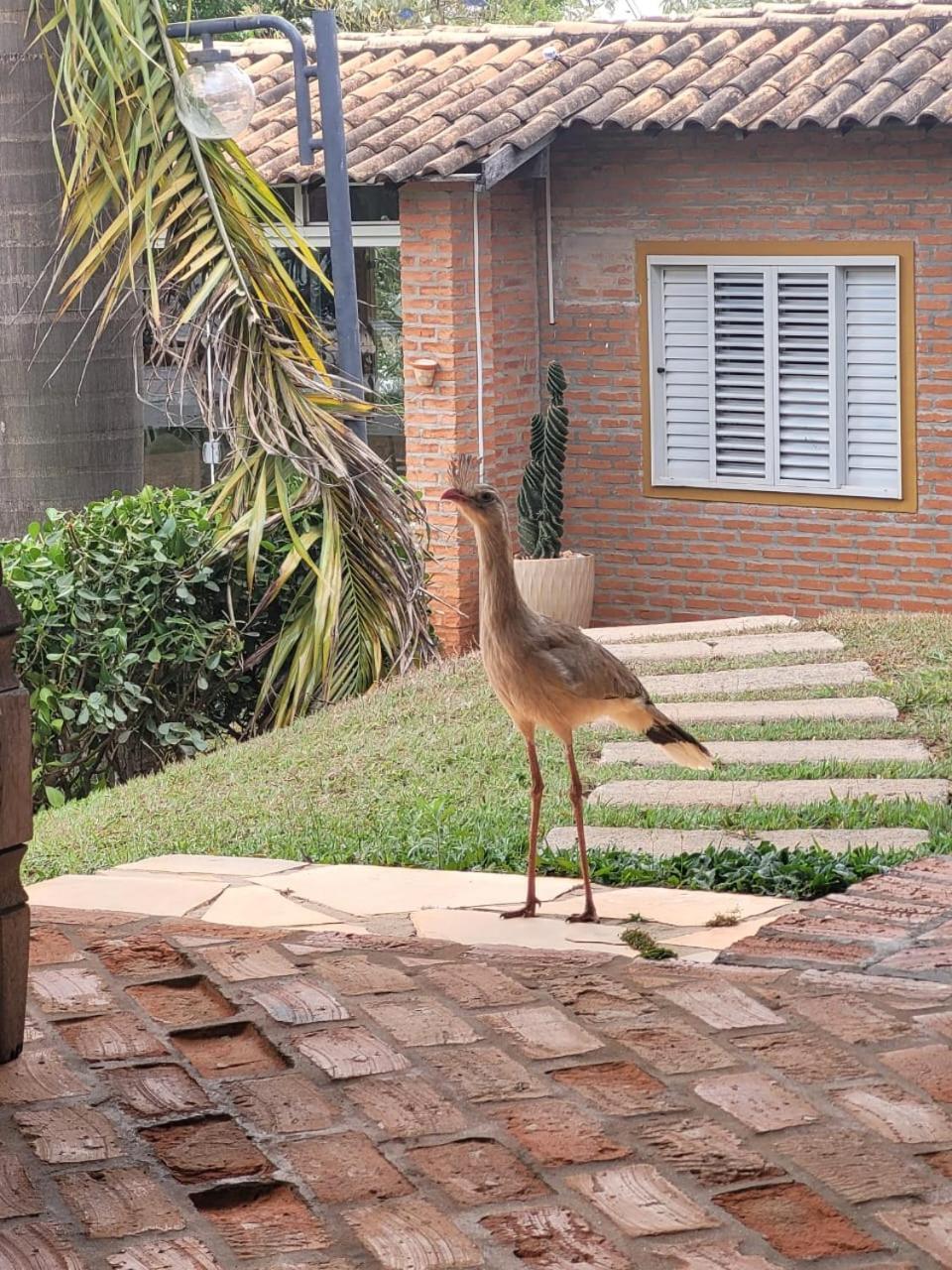 Pousada Do Lago Dutra Guapé Exterior foto